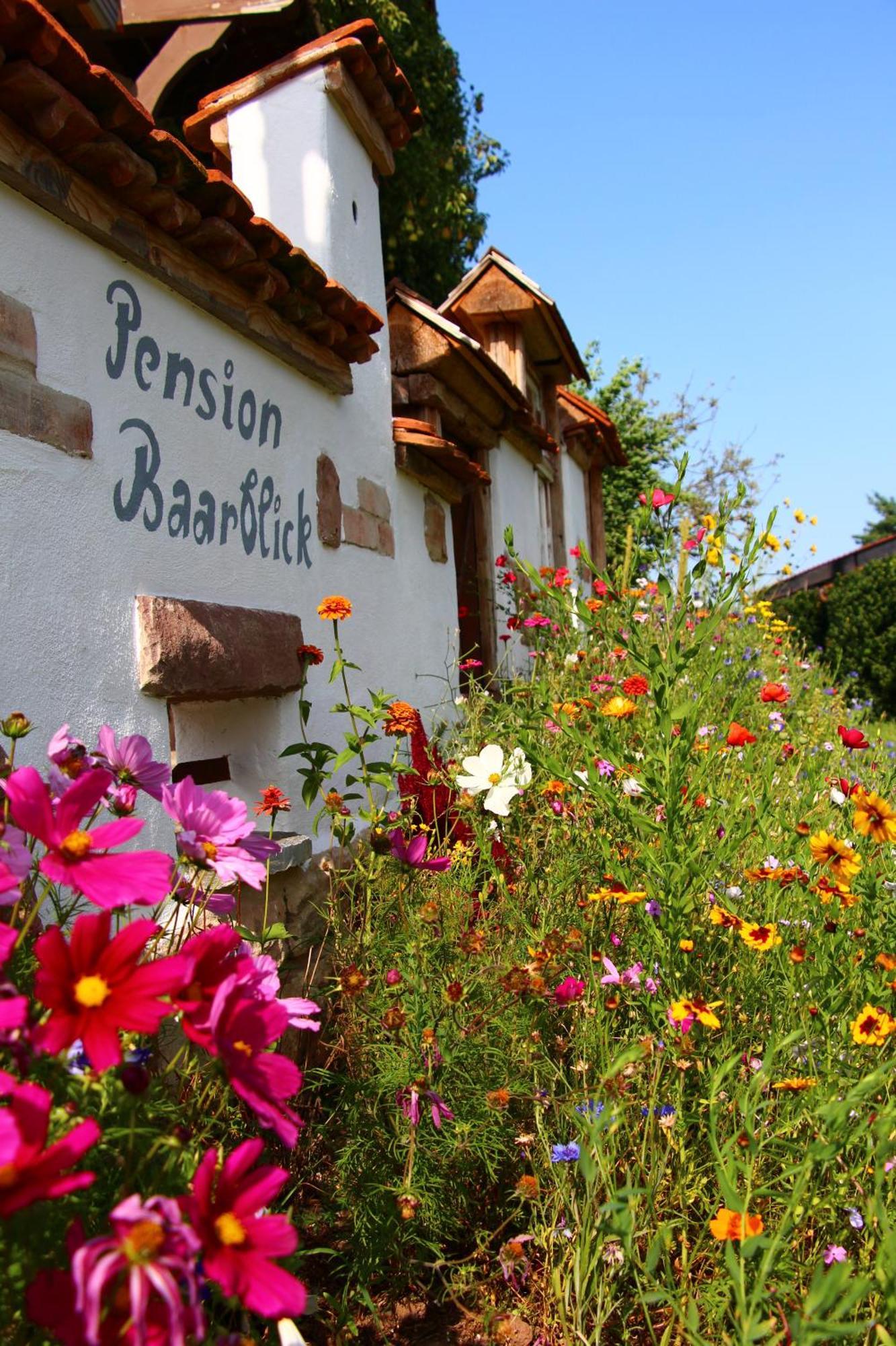 Pension Baarblick Hotel Донаушинген Екстериор снимка