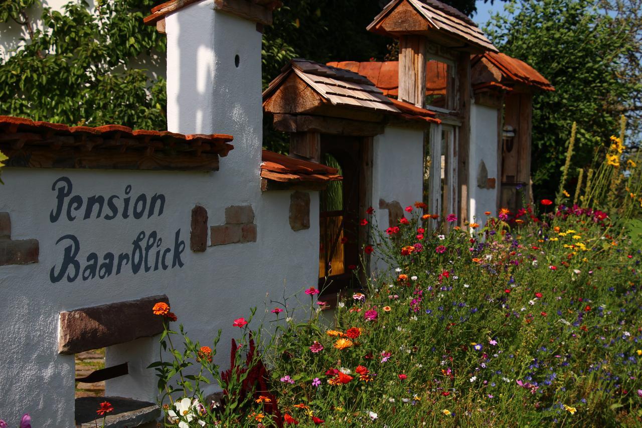 Pension Baarblick Hotel Донаушинген Екстериор снимка